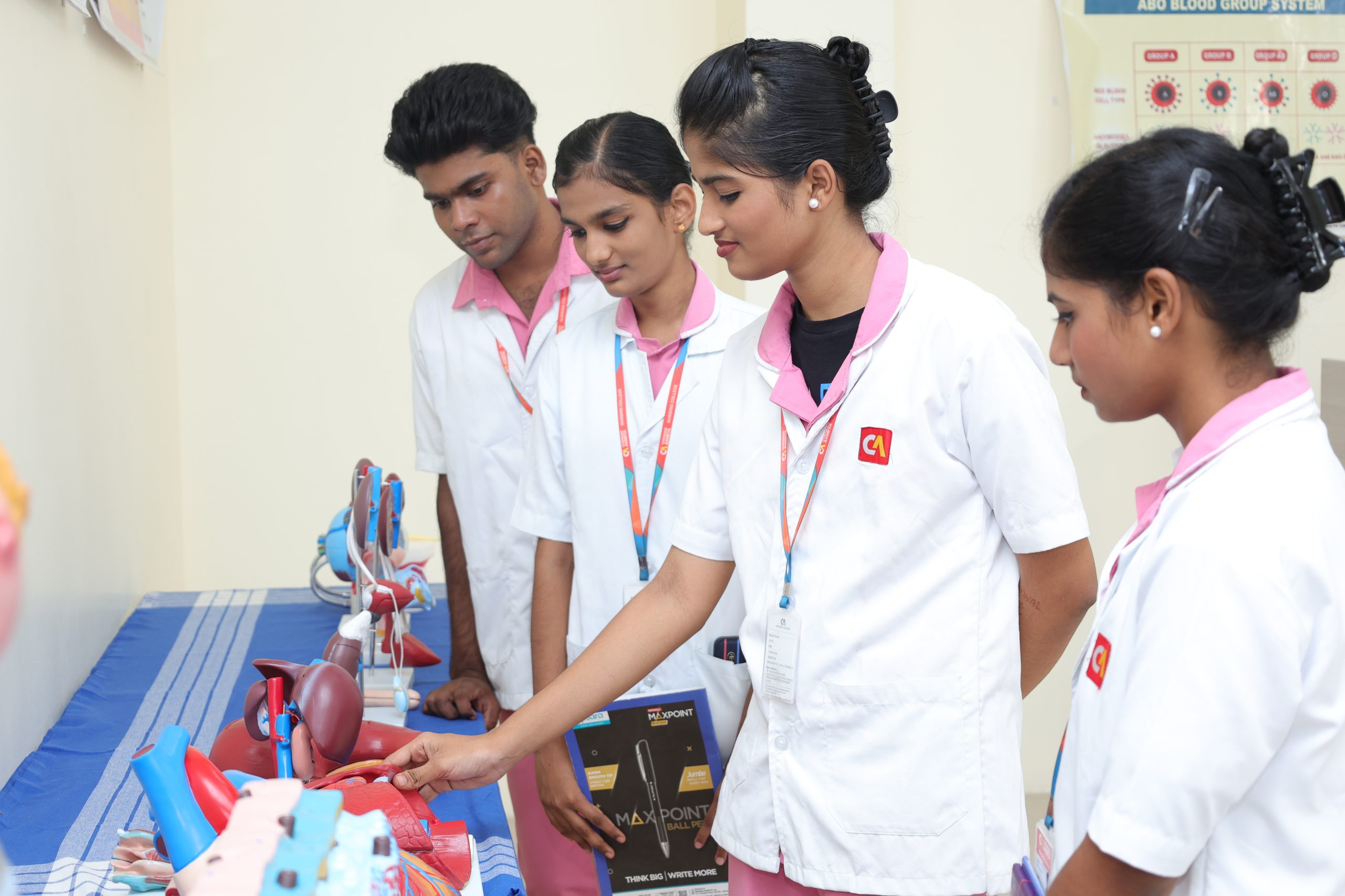 Anatomy Models